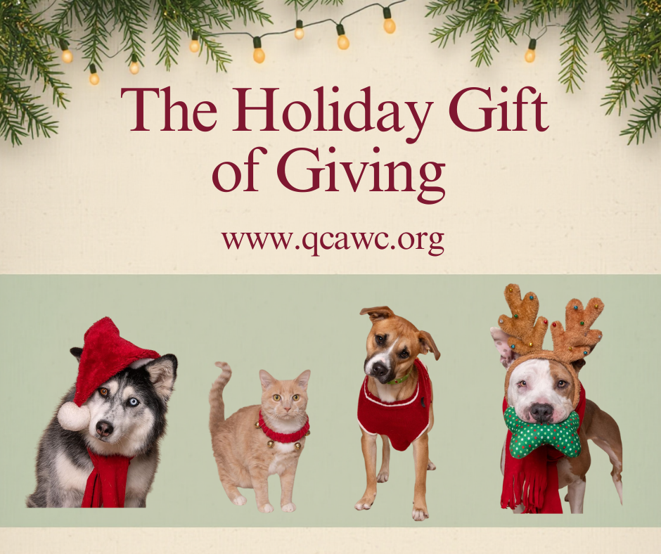 Share warmth holiday fundraising graphic